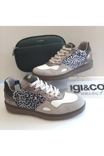 Sportcipő IGI&Co 8678866
